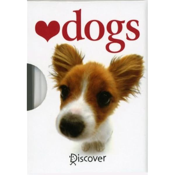 cats 手のひらサイズのギフトブックシリーズ (A HELEN EXLEY GIFTBOOK