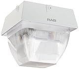 RAB Lighting VAN5S150W Vandalproof Van5 Metal Halide/High Pressure Sodium Lamp, ED17 Type, Aluminum,