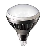 岩崎 LEDアイランプ16Wタイプ(本体:黒色 光色:昼白色) LDR16NHB850