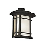 Transglobe Lighting PL-5821 BK Outdoor Wall Lantern with Tea Stain Glass Shade, Black Finished [並行輸入
