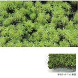 オンリーワン　植栽　コケ・砂苔（ネットマット）　HE3-K401