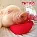 THE PIG Life THE PIG Life