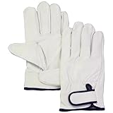 ウイングエース　牛革クレスト　レインジャー　フリーサイズ　No.310　白　10双