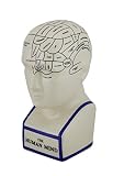オフホワイトPhrenologyヘッド磁器Coin Bank