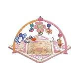 Little Buttons Playtime Musical Gym by Fisher-Price [並行輸入品]