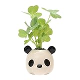 ノルコーポレーション クローバーフレンズポッド ルームフレグランス パンダ OAKUR0102