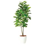 エフプランター 人工観葉植物-アルテシマ株立-180-9号鉢-RP300