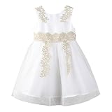 Chaufly 子供 ワンピース かわいい 赤ちゃん 女の子 ドレス 背中 レースちょう結び プリンセス O - ネック 服 子供服 結婚式 発表会 七五三 入学式 卒業式