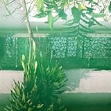 �f�B�V�v����