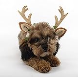 トナカイに変身 コスチューム 猫 犬用 カチューシャ かわいい ペット用 コスプレ 道具 鹿角 ヘアバンド ネコ 小型犬 中型犬 大型犬 ペット服 かぶりもの サイズ調節可能 クリスマス パーティー ハロウイン 誕生日 新年 イベント 撮影 仮装 変身グッズ S