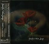 Fabulife / ベルベット・ラウンジ