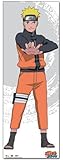 Great Eastern Entertainment Naruto Shippuden Naruto Oversized Wall Scroll, 33 by 44-Inch [並行輸入品]