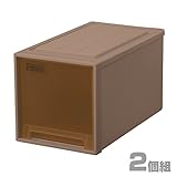 天馬(Tenma) フィッツケース L-30 ブラウン 【2個組】