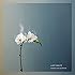 world's end girlfriend「LAST WALTZ」