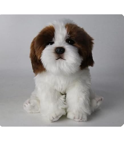 Amazon.co.jp: テレオンレイ リアルぬいぐるみ シーズー 犬 リアル