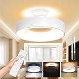 [禄越] シーリングライト 間接照明 6畳 30W LED ライト 照明器具 12段階 調光調色 リモコン付 常夜灯