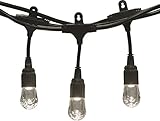 Enbrighten Café LED String Lights (24 ft.), 12 Lifetime Bulbs, Premium, Weatherproof, Shatterproof, 
