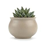T4U 8CM 陶器鉢 古風シリーズNO.4 素陶作り 多肉植物 サボテン鉢 フラワーポット プランター容器 ブラウン