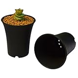 RaiFu 植木鉢 小型 多肉植物 穴あり プラスチック 苗 育成 ハイウエスト ガーデン ポット 卓上 装飾 飾り物　シンプル　 S ブラック