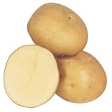 国華園　秋植えじゃがいも種球　デジマ　1kg【※発送が国華園からの場合のみ正規品です】