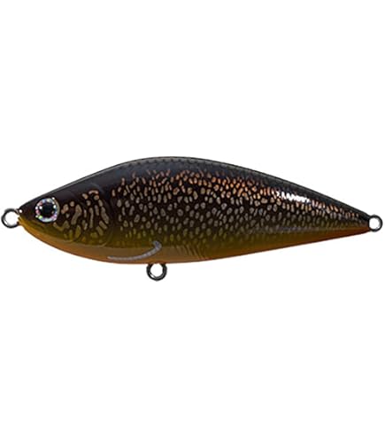 TACKLE HOUSEタックルハウス　R.D.C　sinking shad70 Amazon.co.jp: タックルハウス(Tacklehouse) R.D.C SINKING SHAD