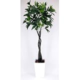 フェイクグリーン・人工観葉植物(パキラツリー) 鉢の色(白)