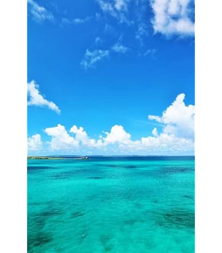 Sky light 空の彩色 : postcard book Sky light 空の彩色 : postcard book Sky light 空の彩色