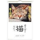 アクティブコーポレーション 2026 カレンダー 壁掛け 日なたぼっこ猫だより 26ACL-04 2026年 1月始まり