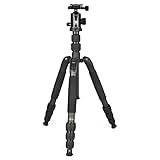 SIRUI カーボン中型三脚 T-2204X+G20KX 雲台セット 【並行輸入品】