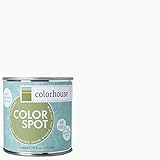 Inspired Eggshell Interior Colorspot Paint Sample, Imagine .01, 8-oz [並行輸入品]