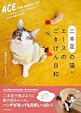 【特典版：「エース君＆おむすびさん　ステッカー」つき】二本足の猫・エースのごきげん日和