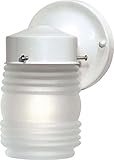 Nuvo SF76/702 Porch Wall Fixture with Frosted Mason Jar, Gloss White [並行輸入品]
