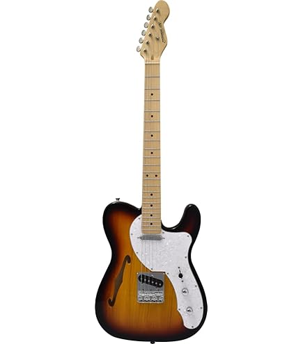 Amazon | エレキギター 初心者セット 7点 Legend LTE-Z ブラック 鼈甲