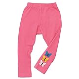 【H28年春物】 CHILD CHAMP(チャイルド チャンプ) スパンフライス長丈チョウApレギンス 120cm/RO NO.C-86161352