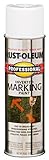 Rust-Oleum 2592838 Professional Inverted Marking Spray Paint, White, 15-Ounce [並行輸入品]
