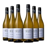 アラン・スコット ソーヴィニヨン・ブラン 750ml×6 柑橘＆ハーブの香り ソムリエいち押し ニュージーランド直輸入 希少白ワイン 辛口 コスパ デイリーワイン wine