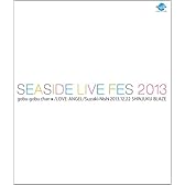 SEASIDE LIVE FES 2013 [Blu-ray]