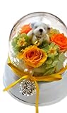 花由 プリザーブドフラワー オルゴールドーム Vitamin（テディベア）