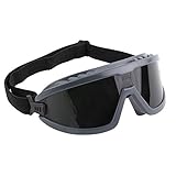 Lincoln Electric KH976 Goggles, IR5 Lens, Black/Green [並行輸入品]