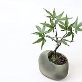 A plus floral art インテリアグリーン 石 盆栽 アレンジ 石粋（セキスイ） モミジ 造花 フェイクグリーン 苔 観葉植物 和風 和モダン