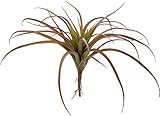 ポピー 造花の観葉植物 チランジアブッシュ レッドグリーン GL-5052R/G