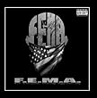 F.E.M.a.