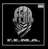 F.E.M.a.