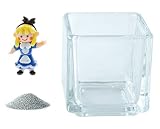 花市場直送便 ミニチュアガラス アリスちゃん & カラーサンド シルバー & 植え込み用グラス ニューブロックS