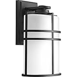 Progress Lighting P6063-31 1 LT Wall Lantern with Etched Glass 8 [並行輸入品]