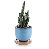 T4U 6.3cm 冰裂紫砂陶器 多肉植物、サボテン鉢 フラワーポット 植木鉢 バンブートレイ付き ライトブルー