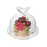 Paseo 茶箱入り プリザーブドフラワー フローリードーム 13.5×13.5×H12.5cm S-16B