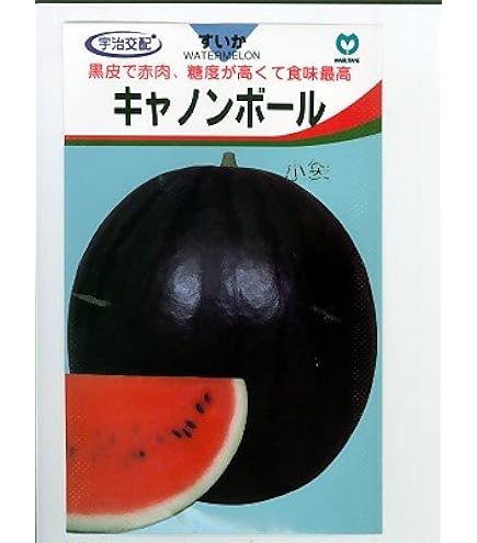 Amazon | サカタのタネ 実咲野菜0601 黒玉スイカ タヒチ 00920601 | 果物