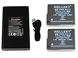 WELLSKY DMW-BLC12 パナソニック | BP-51 シグマ | BP-DC12 ライカ 互換バッテリー 2個 + DMW-BTC6 DMW-BTC12 | BC-51 | BC-DC12 [ デュアル ] USB Type C 互換充電器 バッテリーチャージャー 1個 純正充電器で充電可能 残量表示可能純正品と同じよう使用可能 端子保護カバー付き