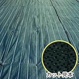 防草・防塵用 ライン入りグランドバリアクロス 2m×50m